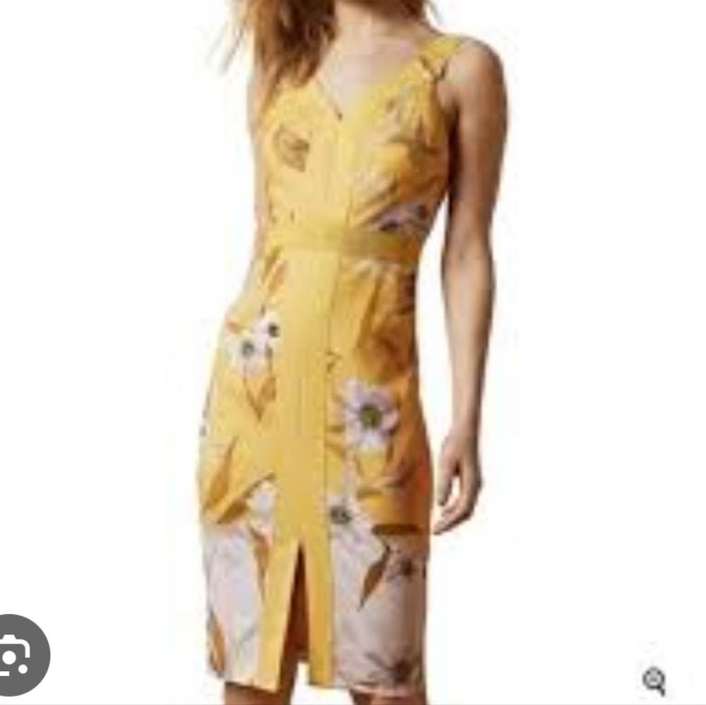 Ted Baker NWT Peppin Cabana  bodycon dress Sz 4